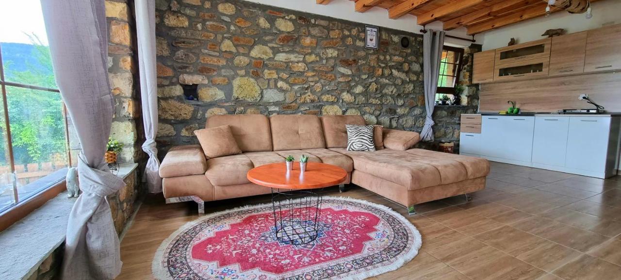 Villa Eskici Sztaro Mjaszto Kültér fotó